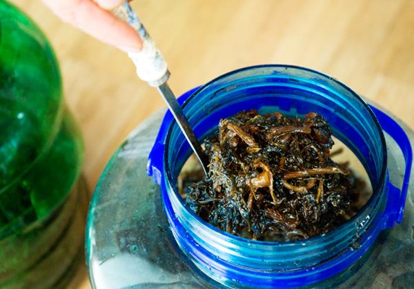 【김동주 씨】 총각 할아버지의 제2의 인생 전성기를 기대하세요