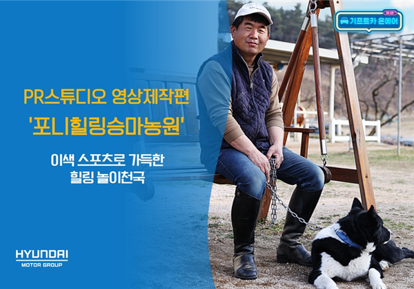 기프트카 온에어 │ 이색 스포츠로 가득한 힐링 놀이천국 "포니힐링승마농원"